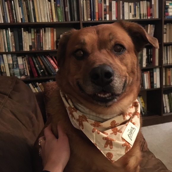 Meet your Posher, Emily - Picture 1 of 1